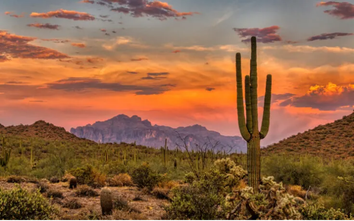 Arizona Senator Pushes Bill To Make Crypto Legal Form Of Currency Bitcoin