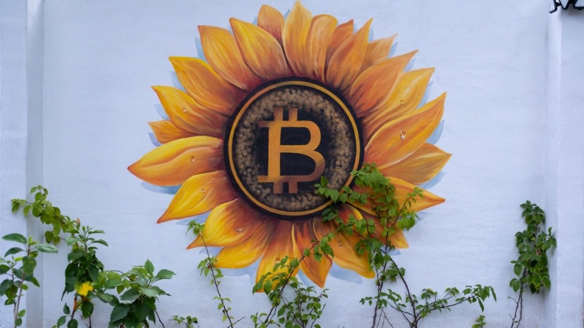 Blockchain Sleuth Points out El Salvador Might Be ‘Recycling Bitcoin’